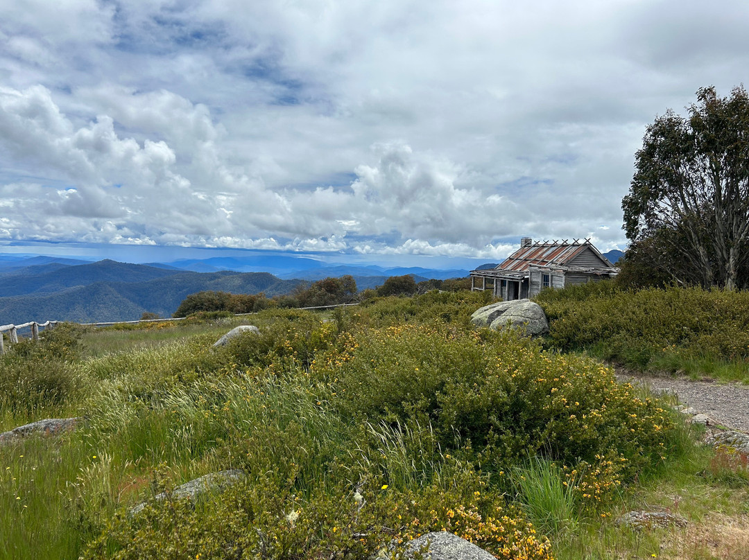 Australis 4WD Adventures-曼斯菲尔德必去景点