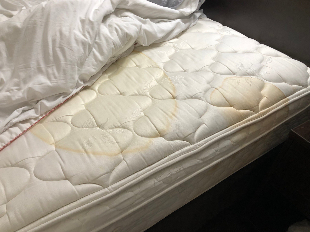 Red Roof Plus+ & Suites Knoxville West - Cedar Bluff