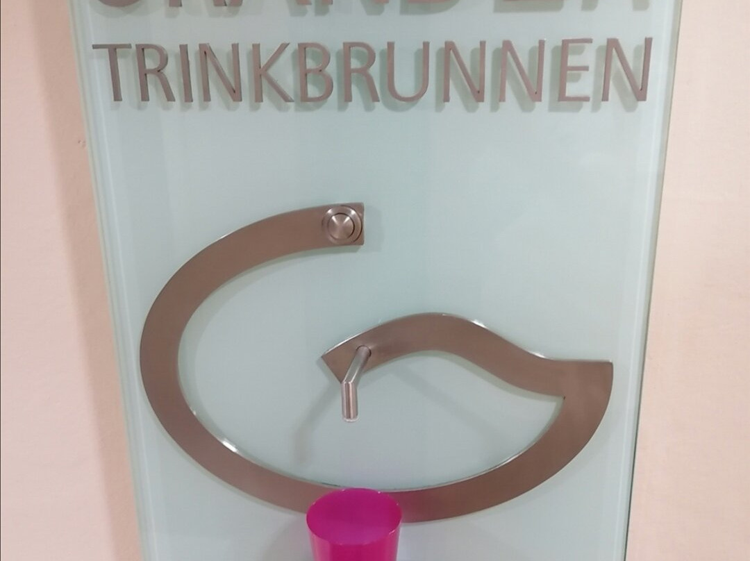 Seehotel Grauer Baer主图