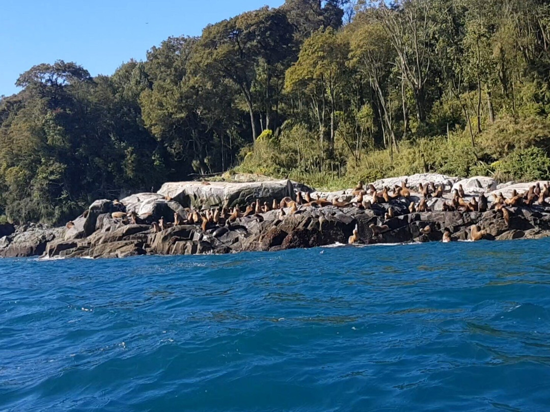 Natour-Chaiten必去景点