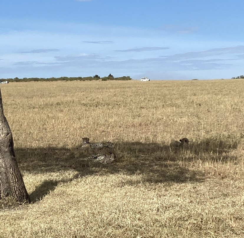 Sindio Tours & Events-Kikuyu必去景点