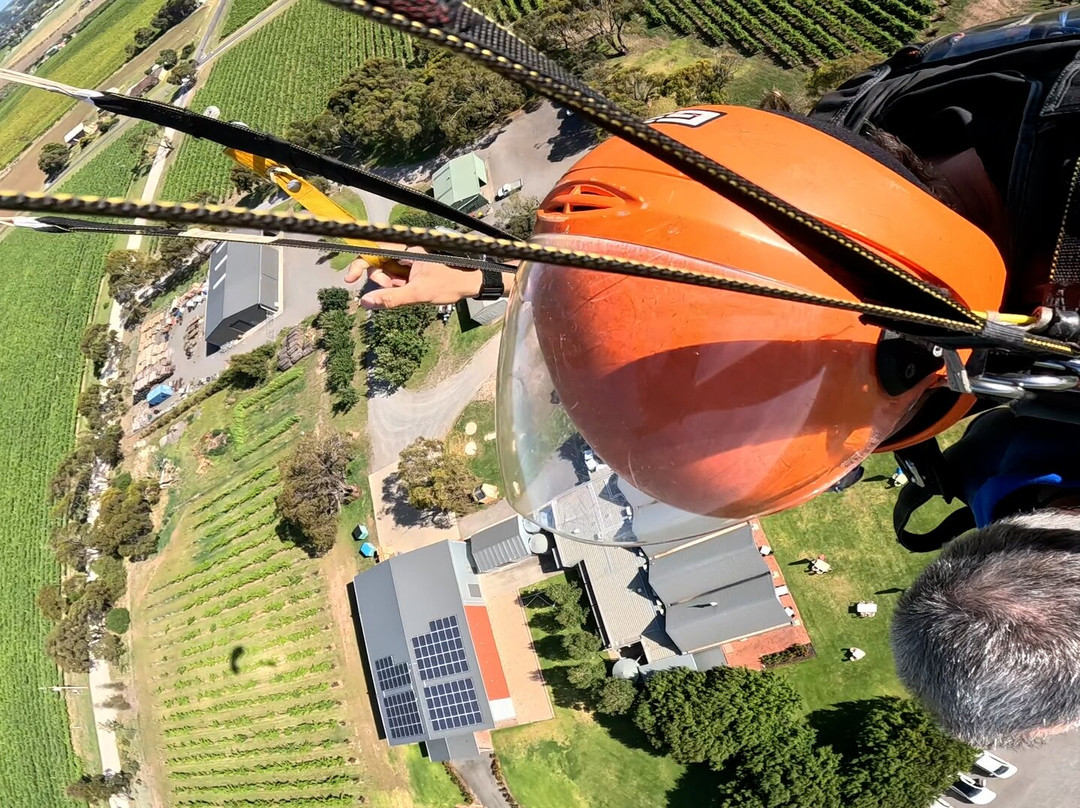 Skydive the Southern Vines-麦克拉伦谷必去景点