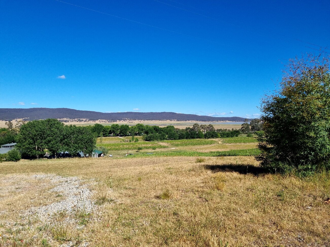 Lake George Winery-Collector必去景点