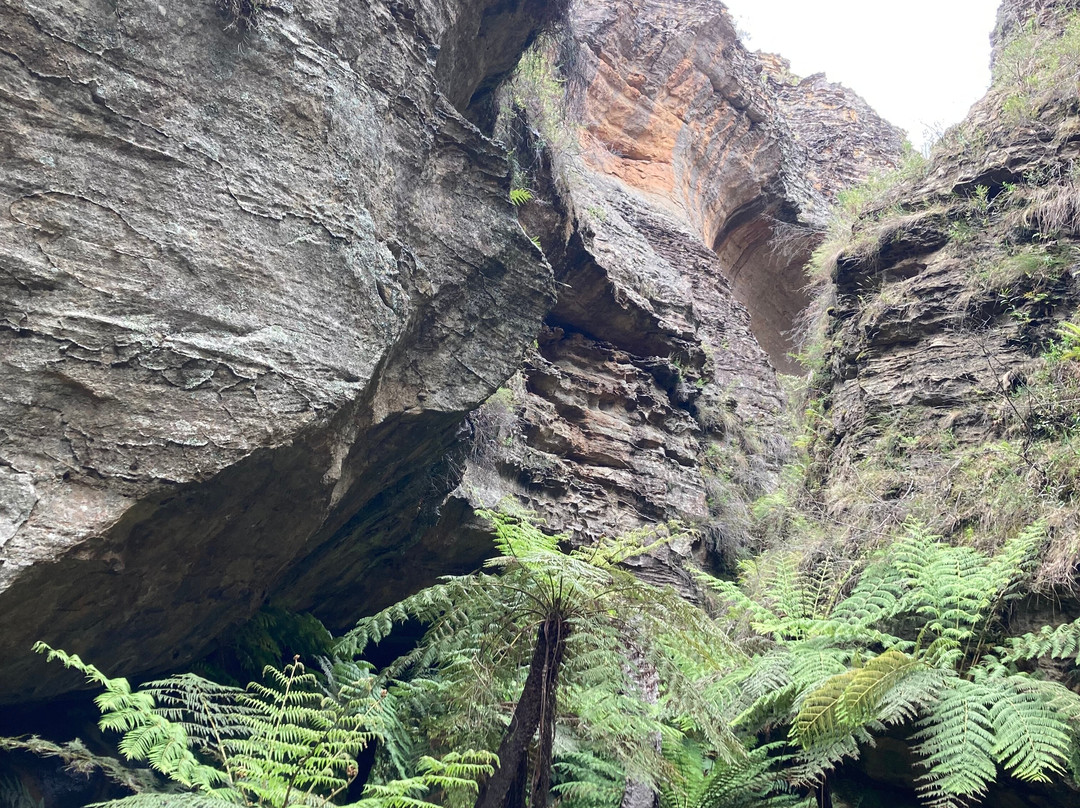 Glow Worm Tunnel-利特高必去景点