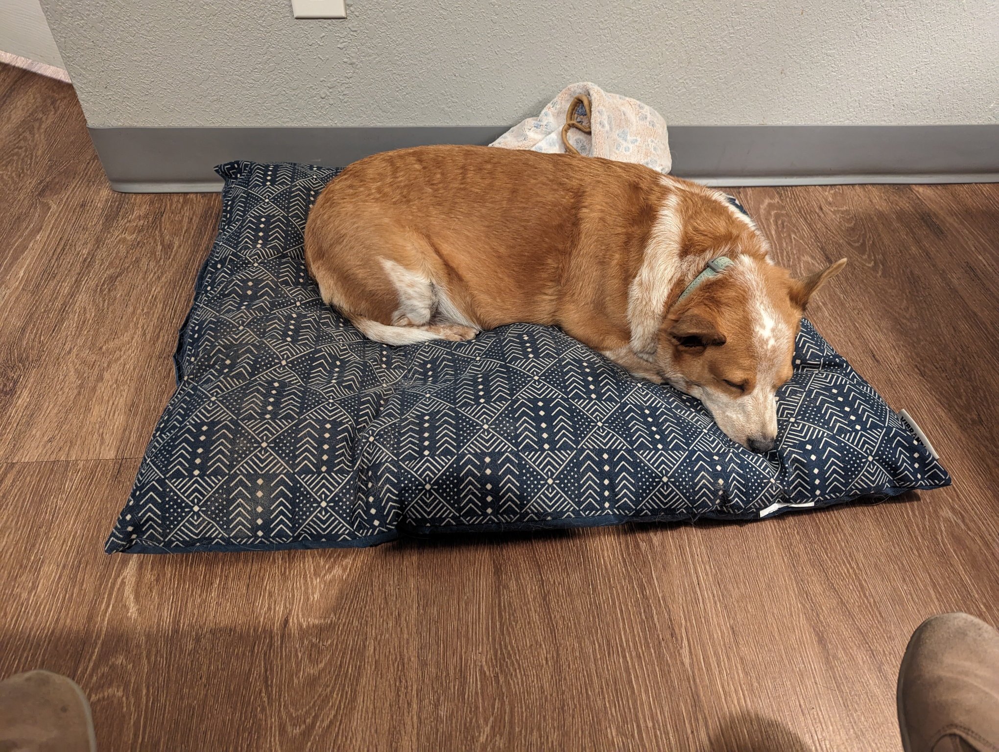 Super 8 by Wyndham Sonora-客卧