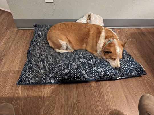 Super 8 by Wyndham Sonora主图