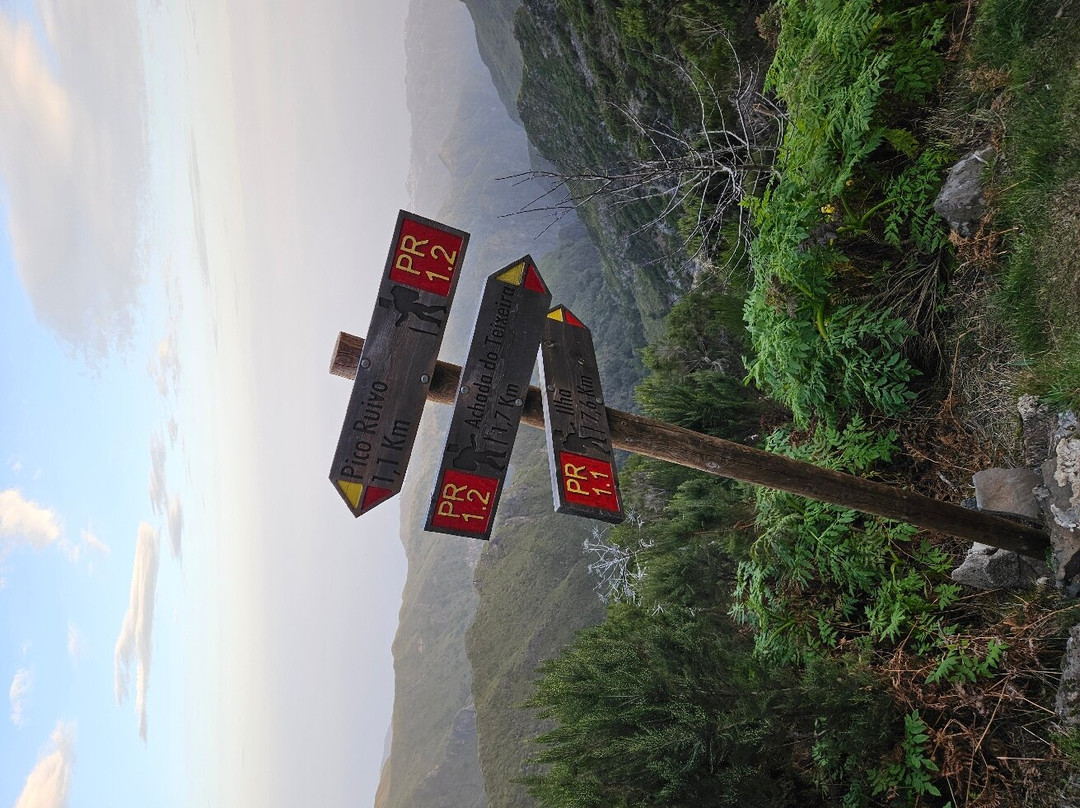 Do It Madeira-沙尔必去景点