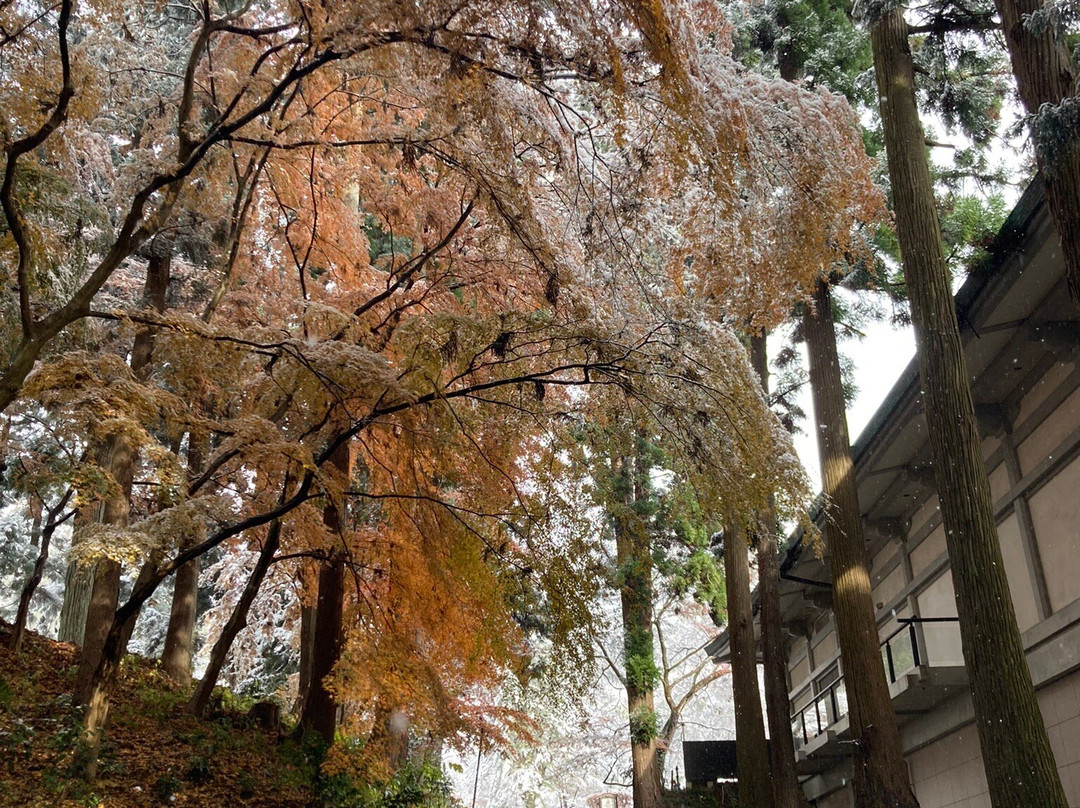 Soba-an Shizukatei主图