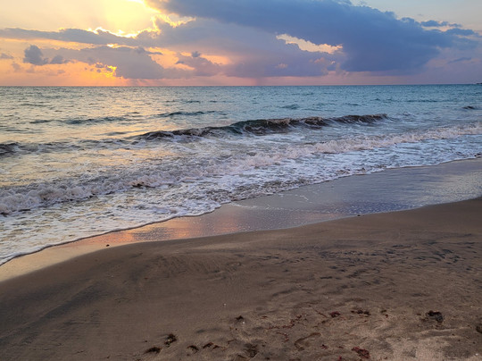 Gayle's Landing主图