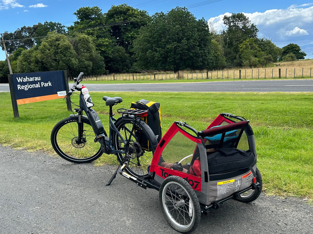 Shorebird Cycles-Kaiaua必去景点