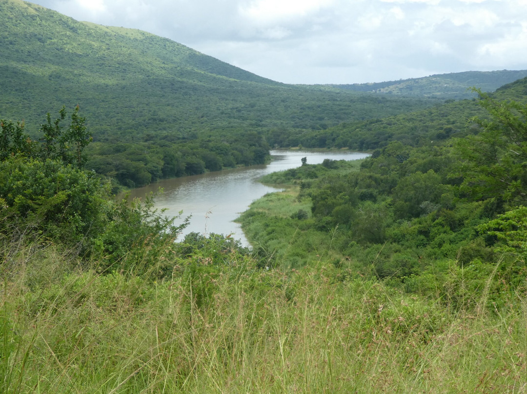 Dini Zulu Safari景点图片