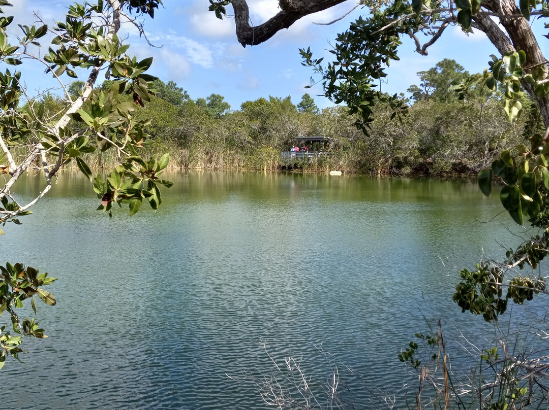 Blue Hole-Big Pine Key必去景点