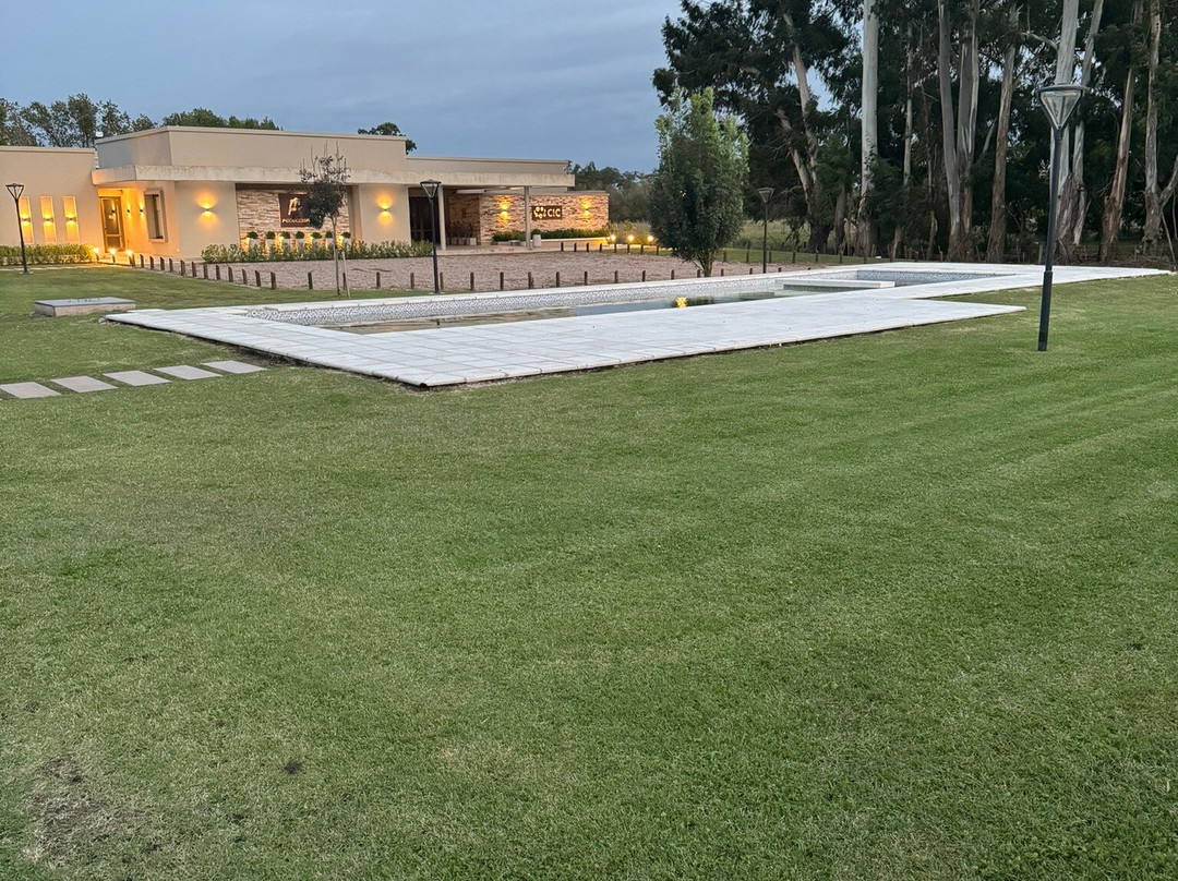 Portal Del Callvu主图