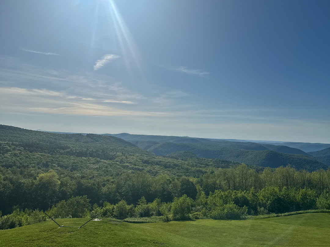 Blue Vista Motor Lodge主图