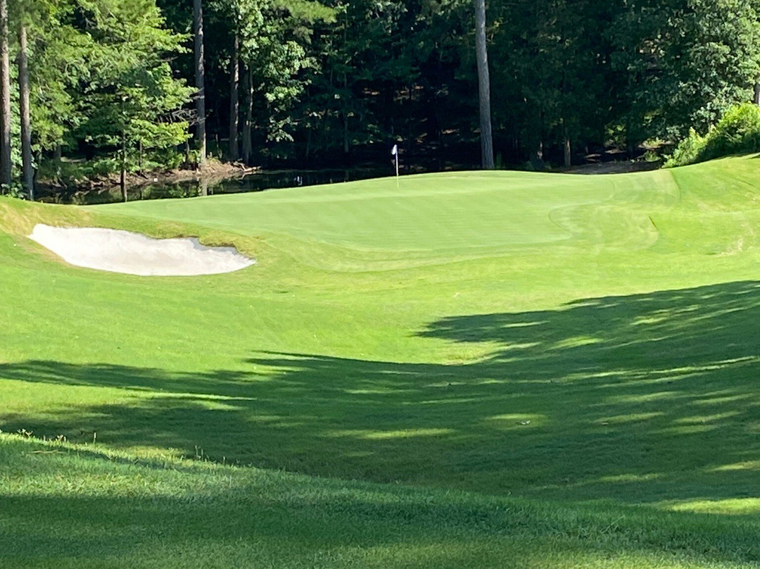 Dancing Rabbit Clubhouse主图