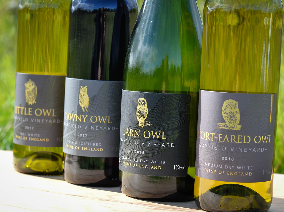 Mayfield Vineyard,lincolnshire
