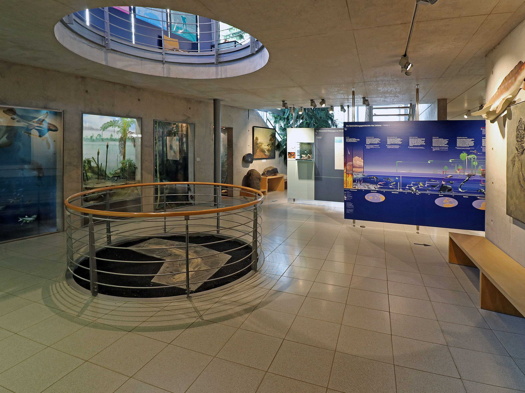 Urweltmuseum Geoskop景点图片