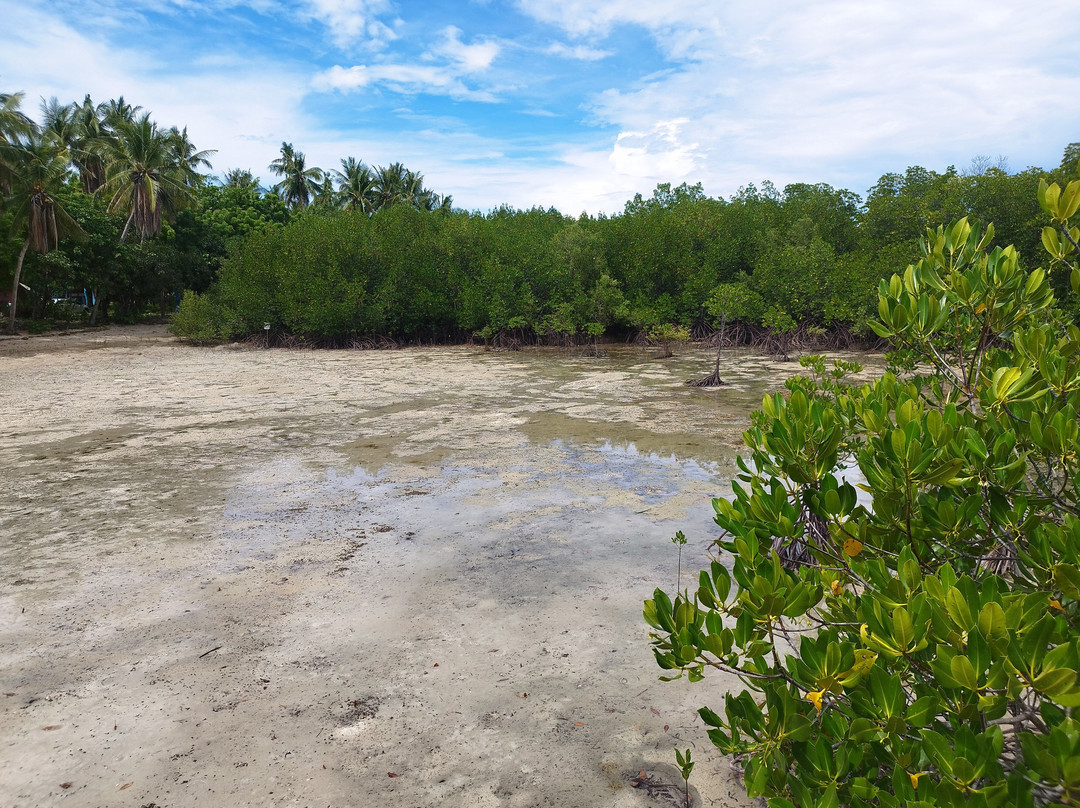 Omagieca Mangrove Garden-班塔延岛必去景点