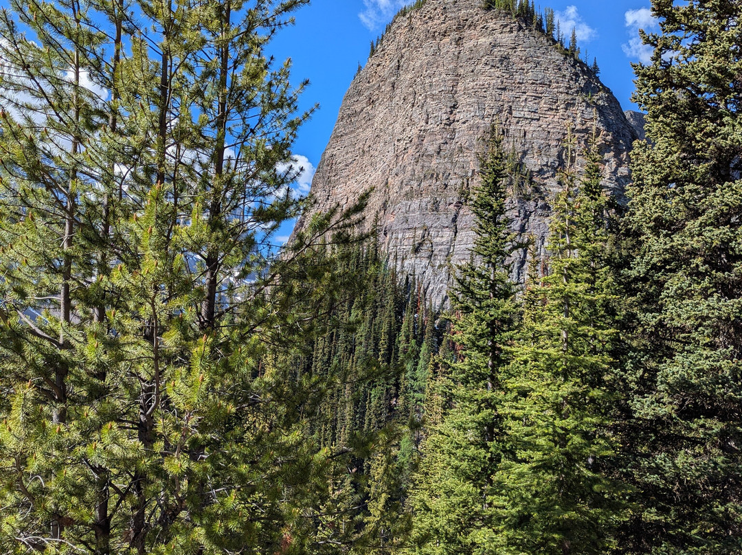 Timberline Tours Ltd. - Private Day Tours-路易斯湖必去景点