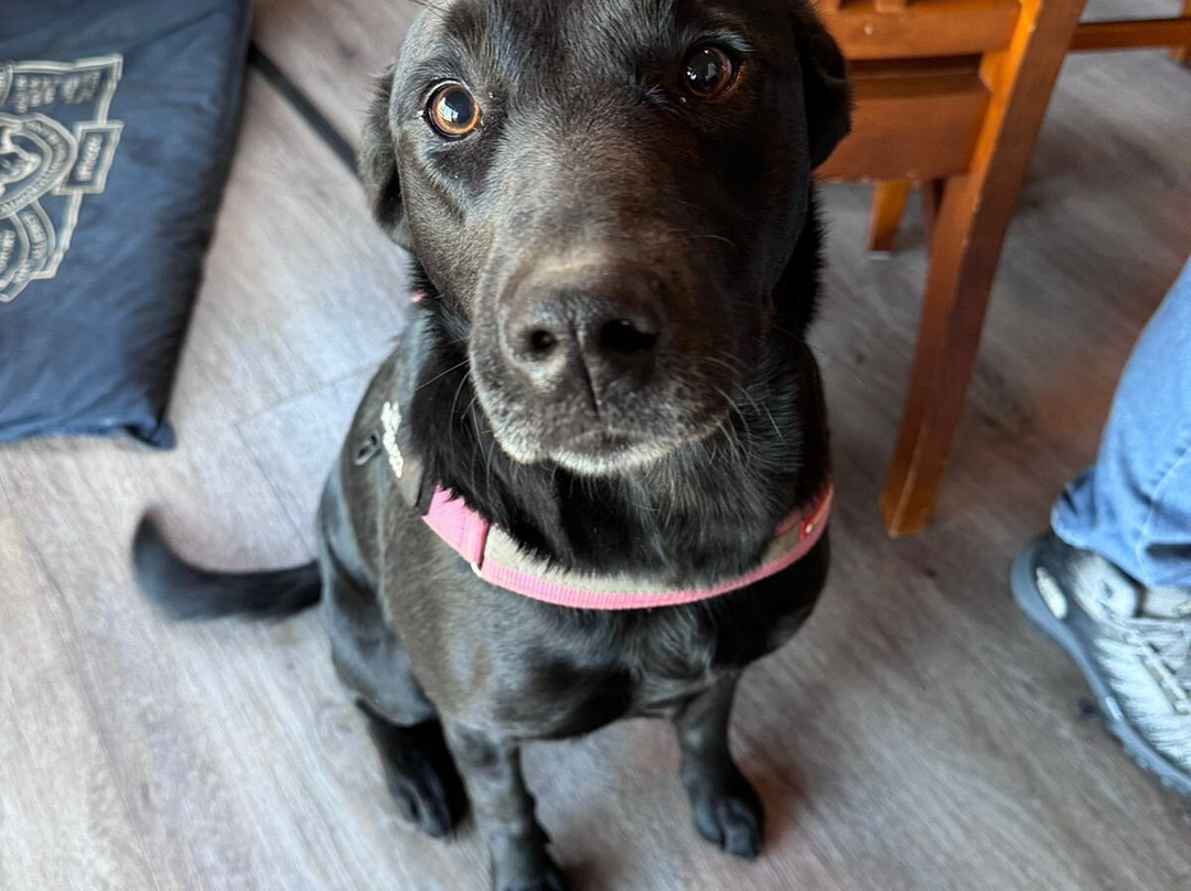 The Truffledore-Barrington必去景点