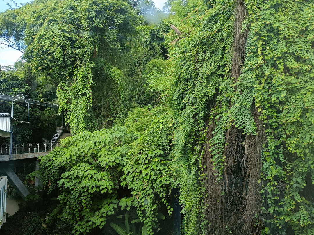 Hilltop Wellness Resort主图