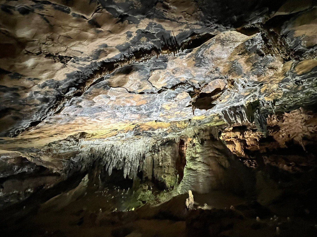Grotte Di Castelcivita景点图片