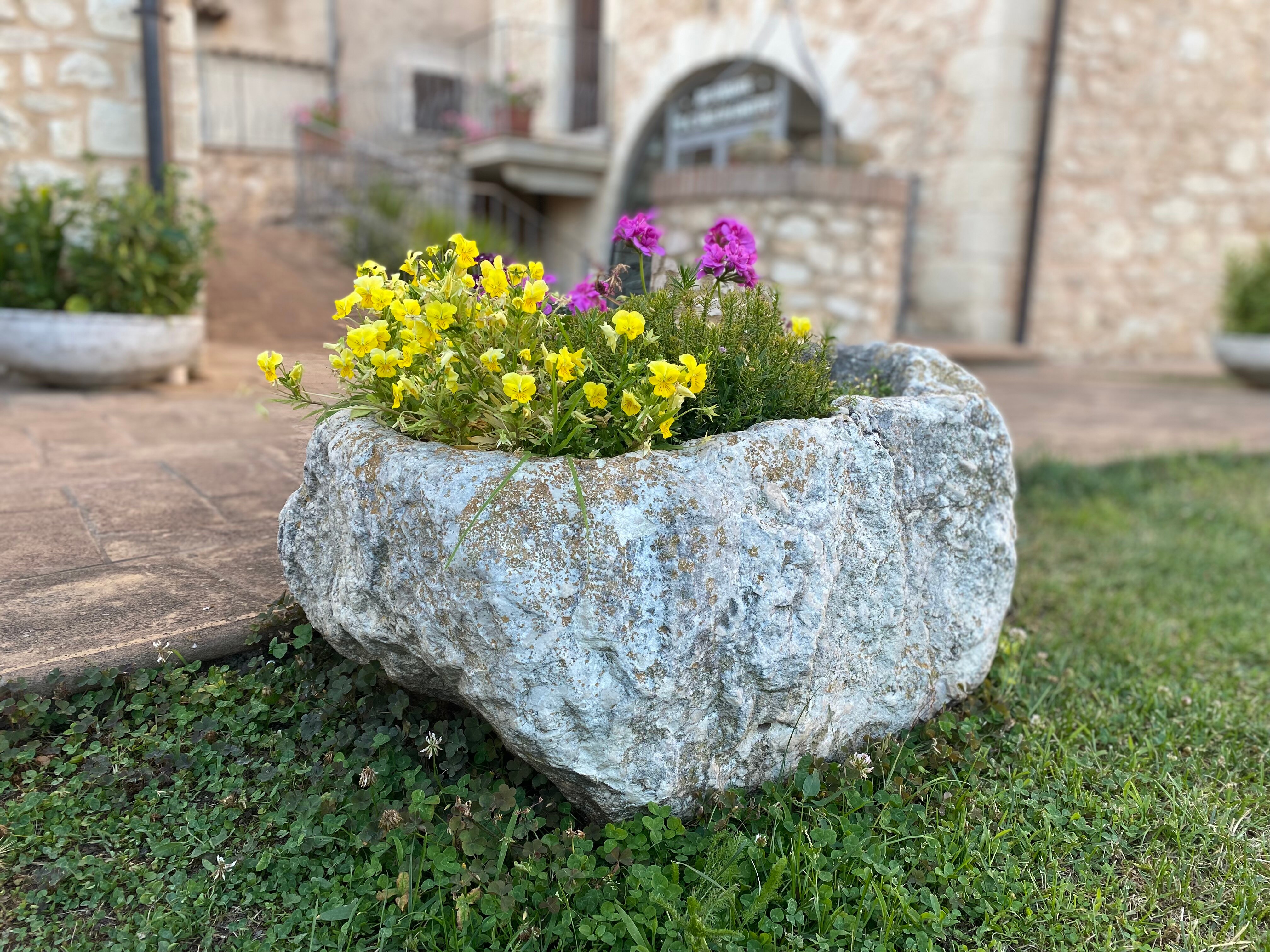 Il Casale di Ginetto-官方