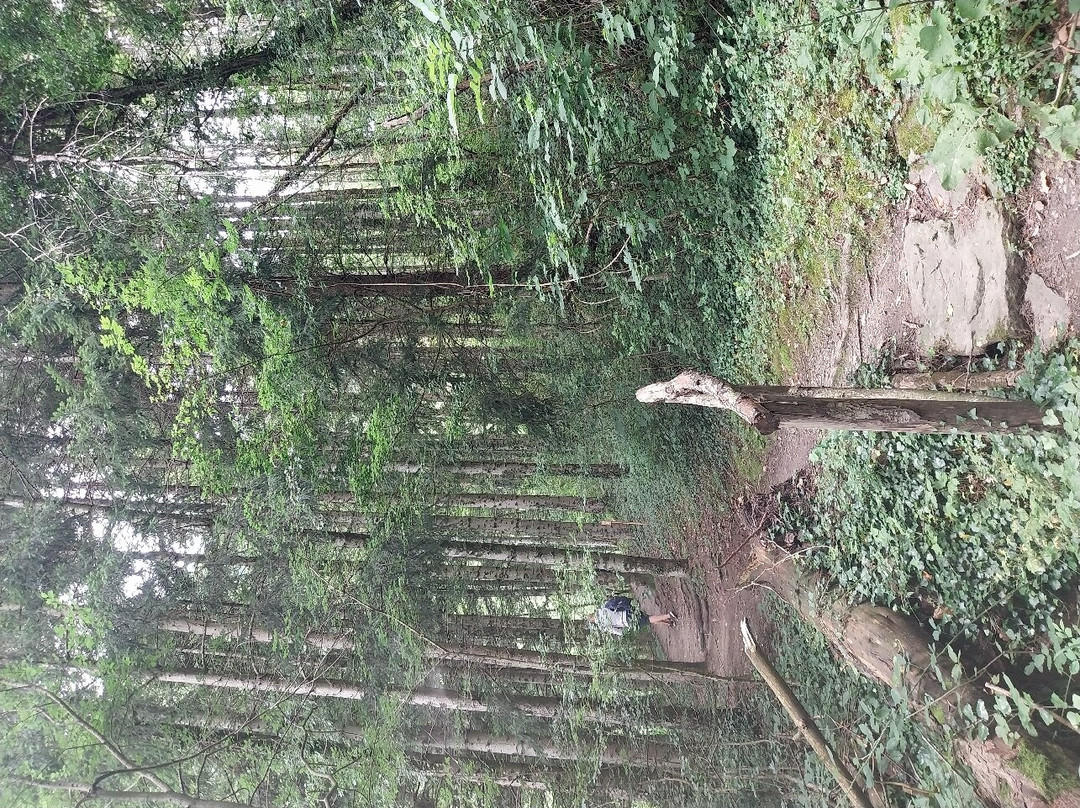 Cascata della Rovinaccia-Canevare必去景点