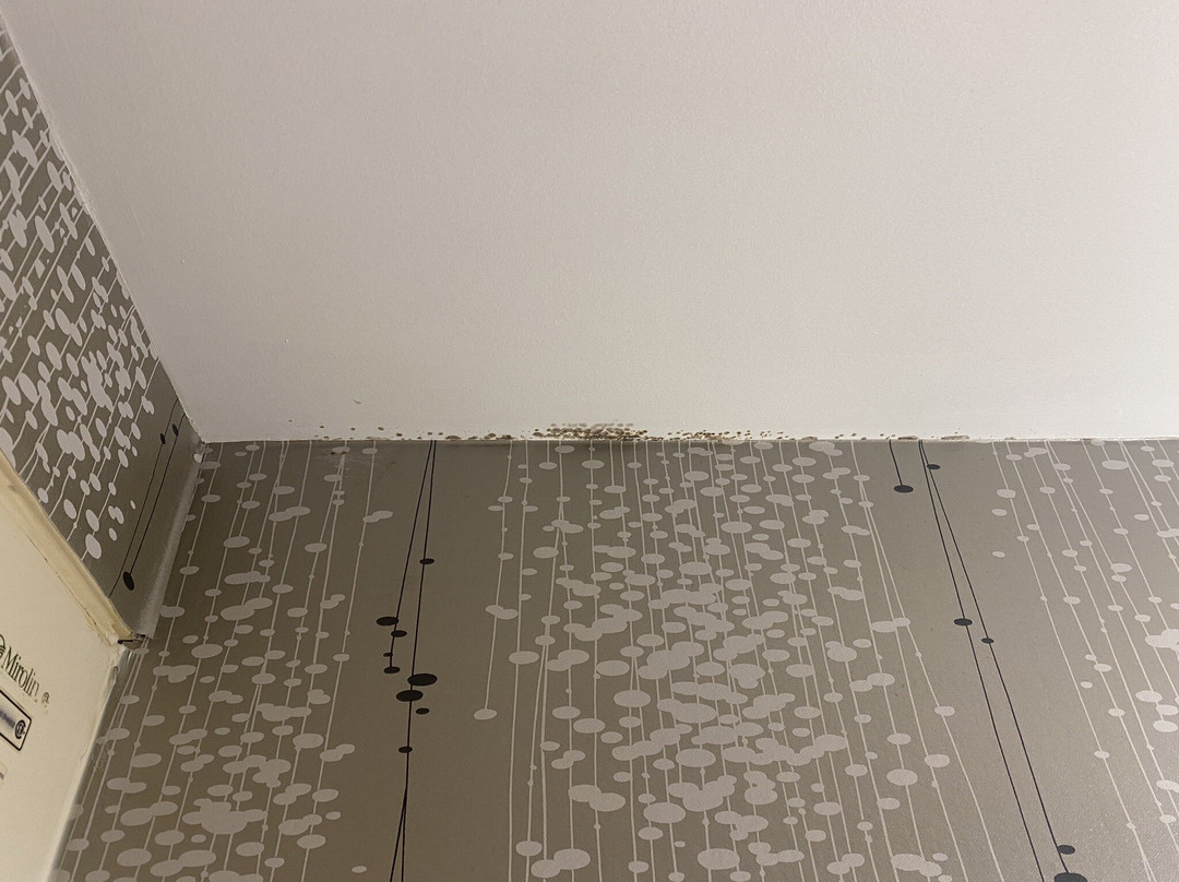 Monte Carlo Inn - Brampton Suites主图