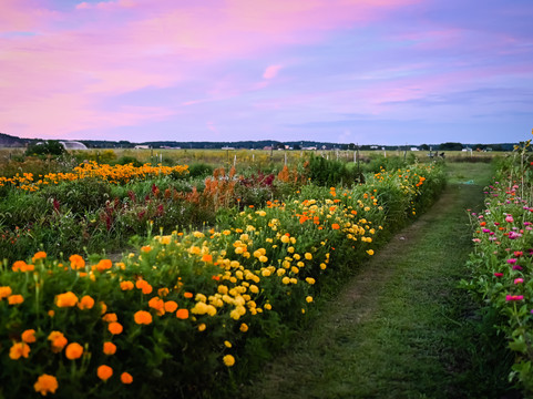Horton's Flower Farm-Riverhead必去景点