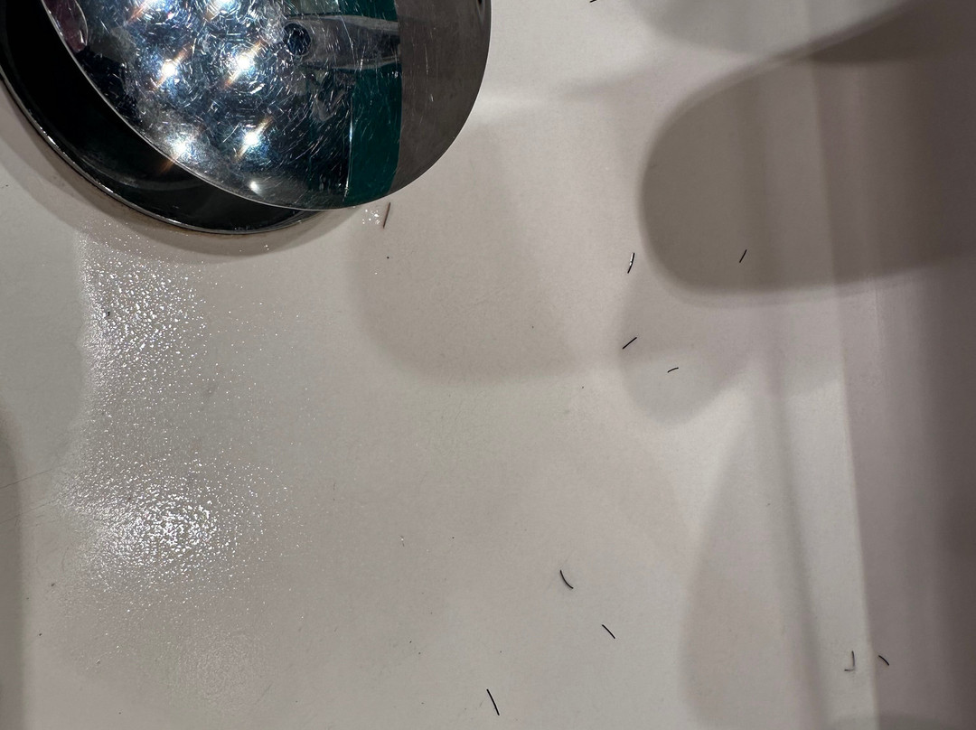 城堡欧洲酒店主图