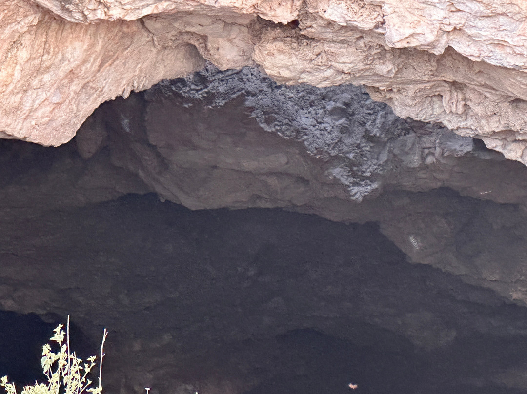 Frio Bat Flight Tours-Concan必去景点