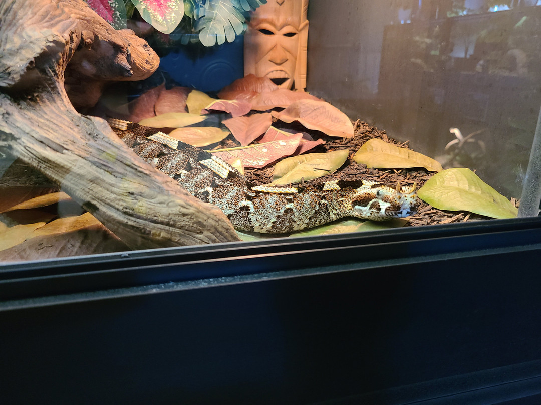 The Serpent Center-Vance必去景点