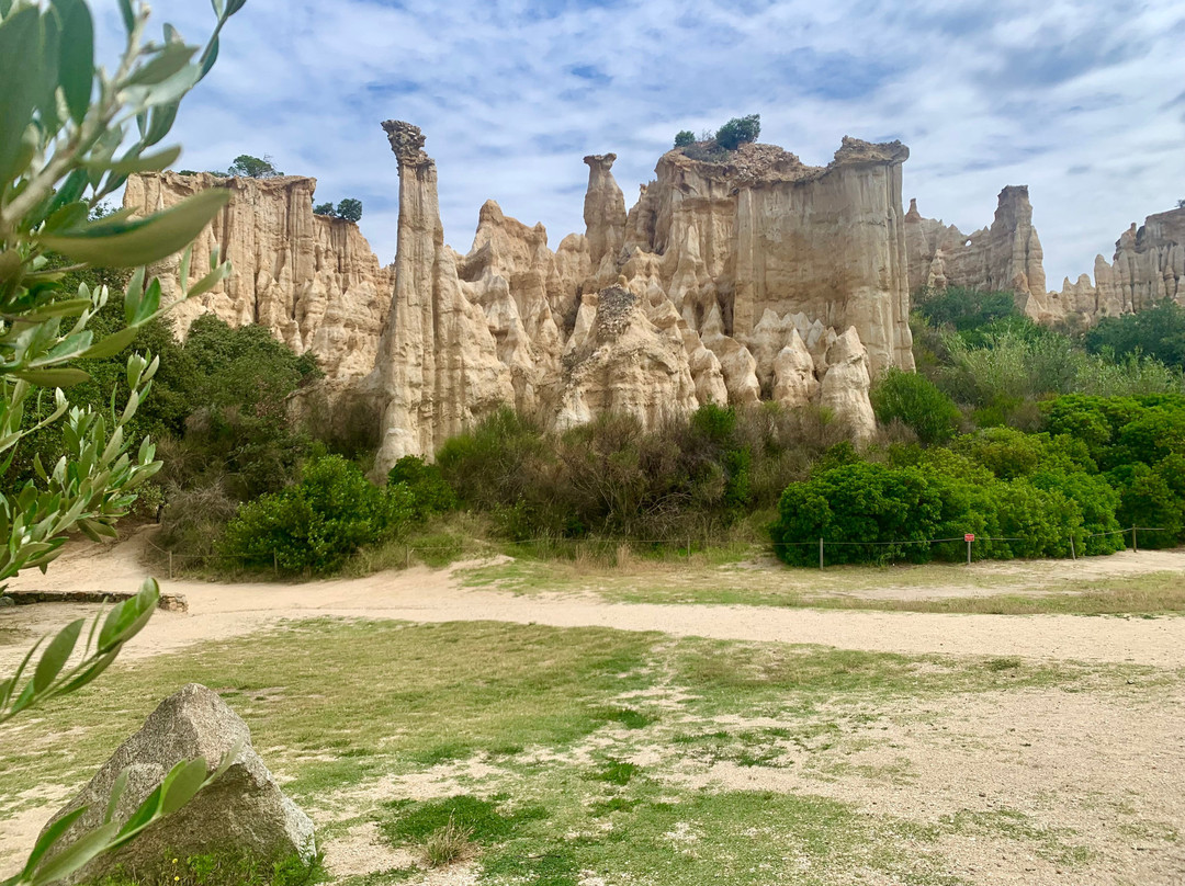 Office de Tourisme de Saint-Cyprien Méditerranée景点图片