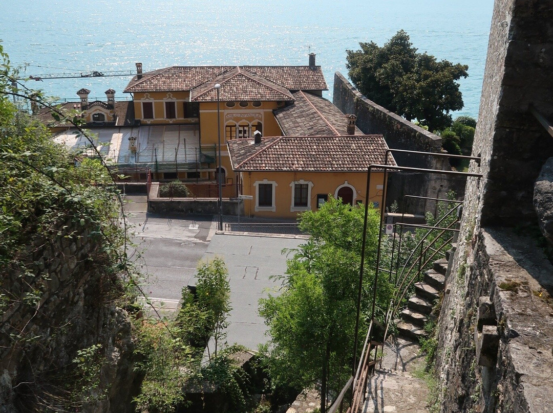 Limonaia La Malora景点图片