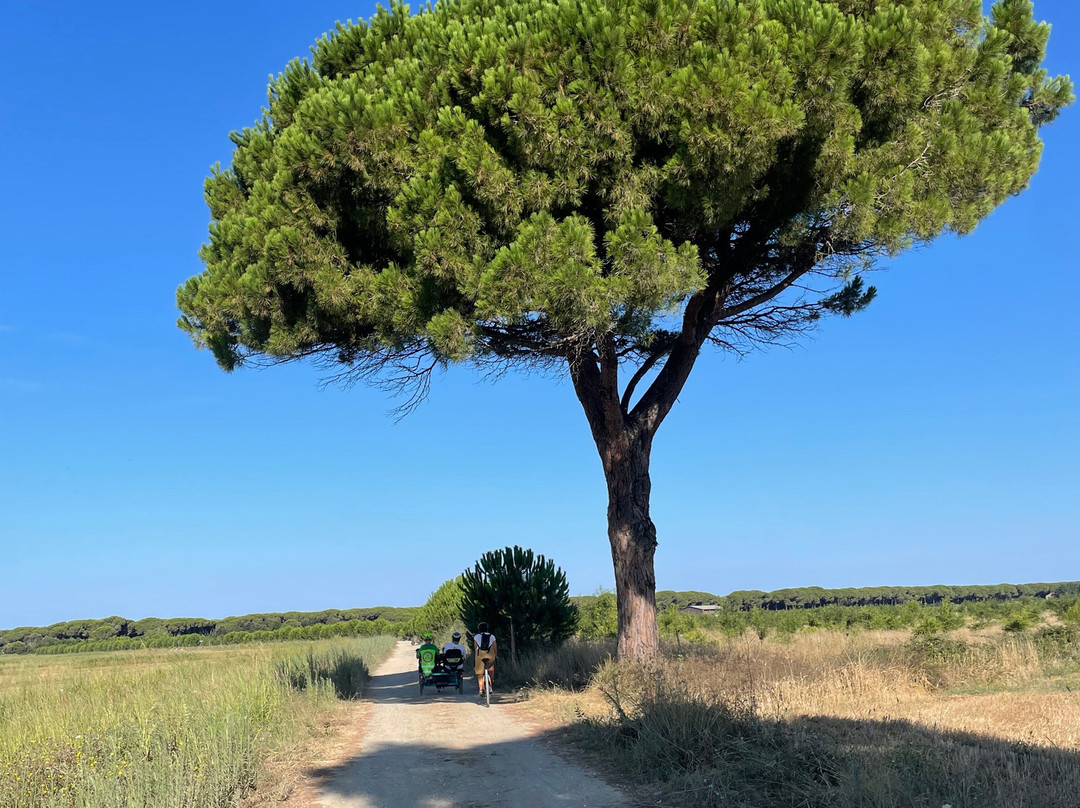 Tuscany Love Bike景点图片
