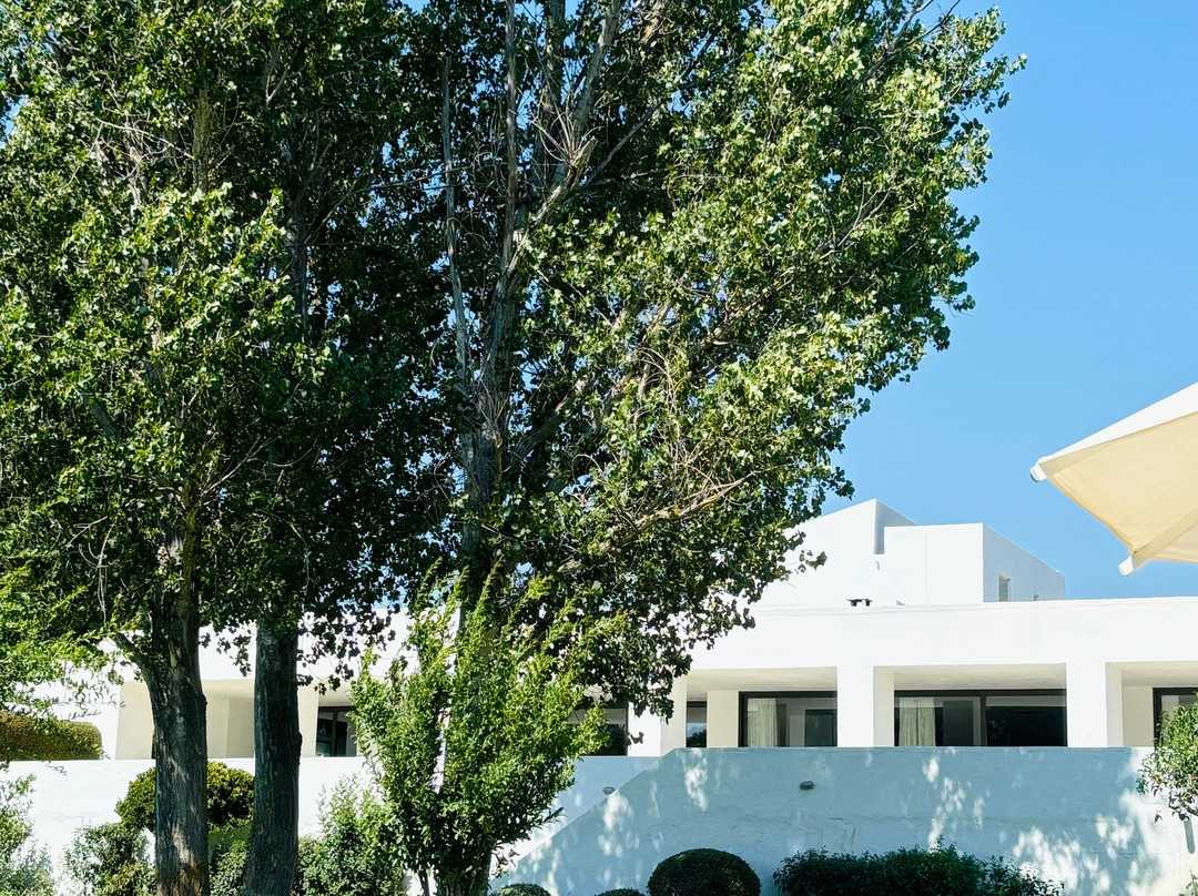 Amalia Hotel Olympia主图