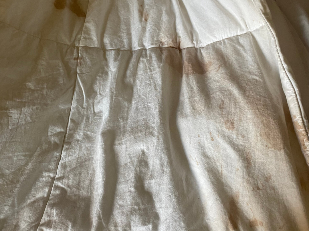 Sundance Lodge主图