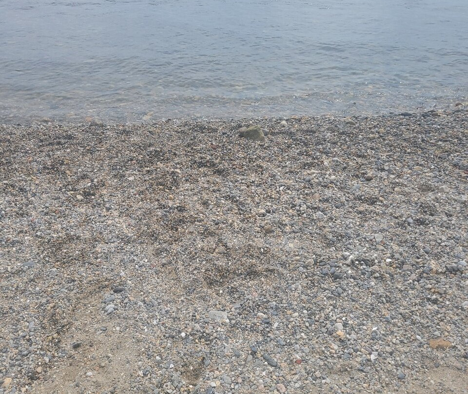 Roger W. Wheeler State Beach-纳拉干西特必去景点