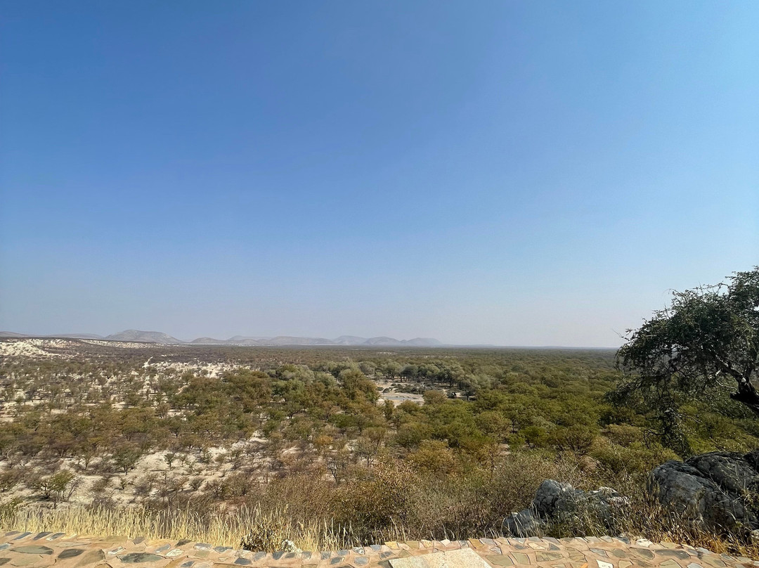 Bambatsi Guest Farm主图