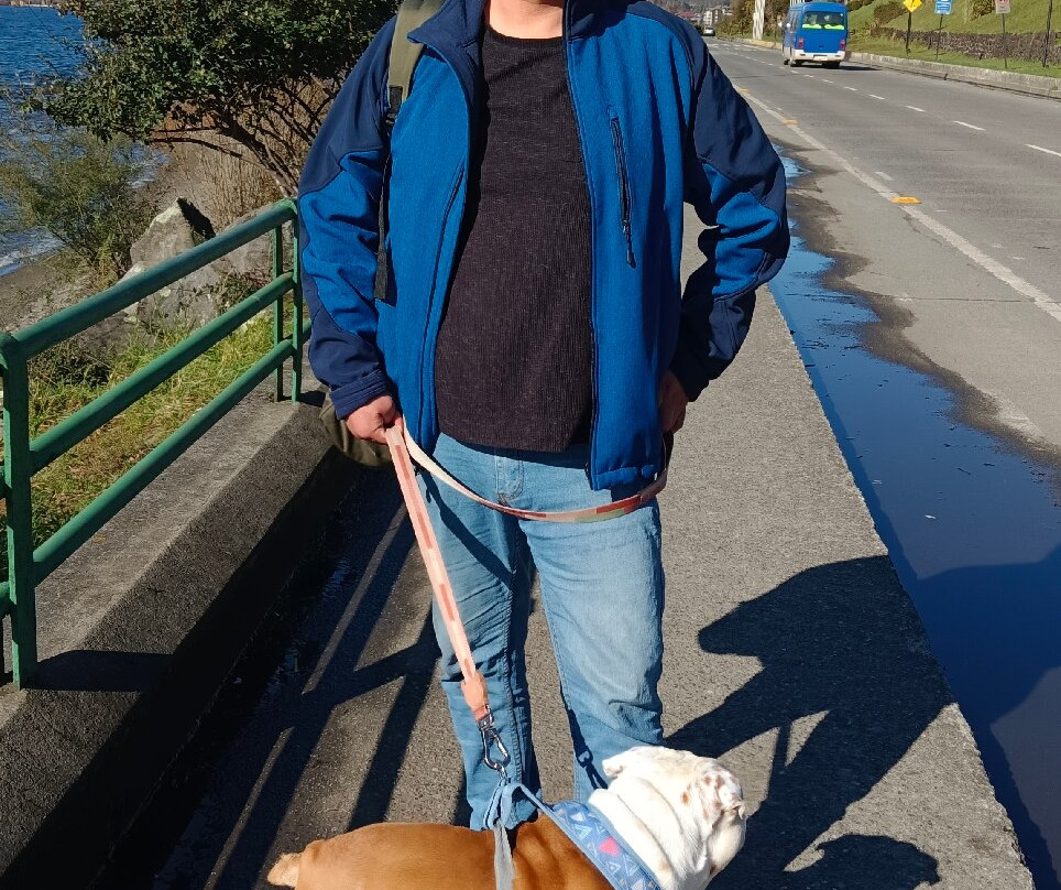 Costanera de Puerto Varas-巴拉斯港必去景点