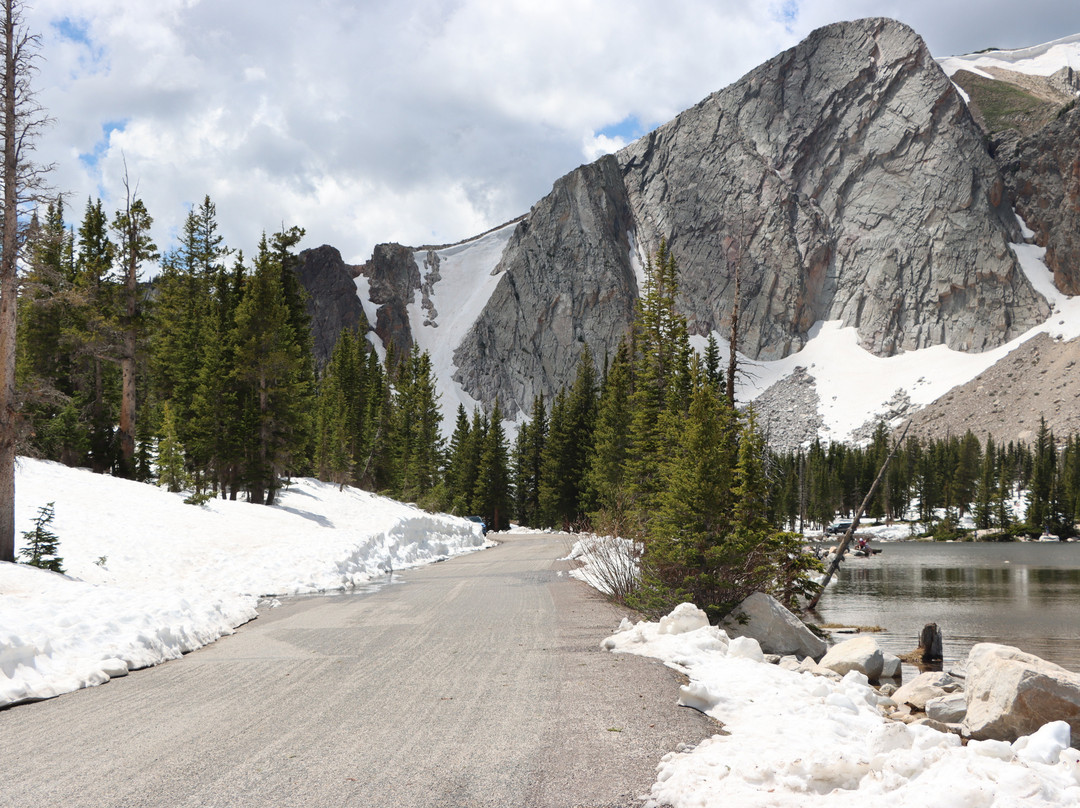 Medicine Bow National Forest-拉勒米必去景点