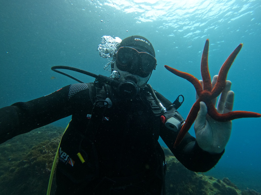 Deep Blue Azores Diving Center-亚速尔群岛英雄港中心区必去景点