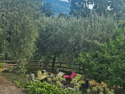 Amandolevanto B&B主图