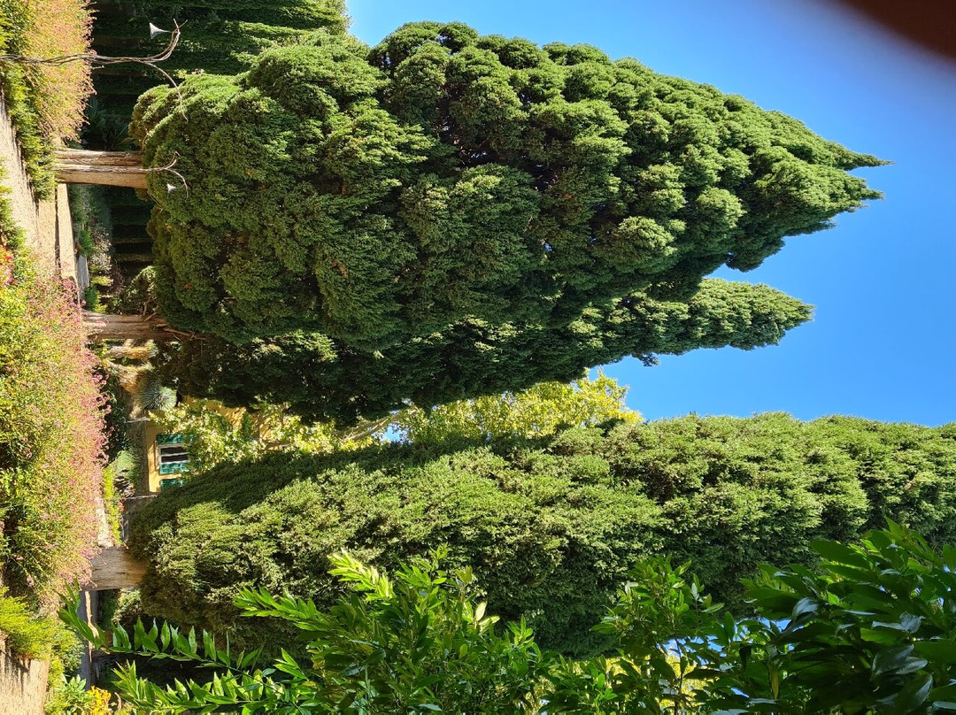 Jardin Domaine de Baudouvin景点图片