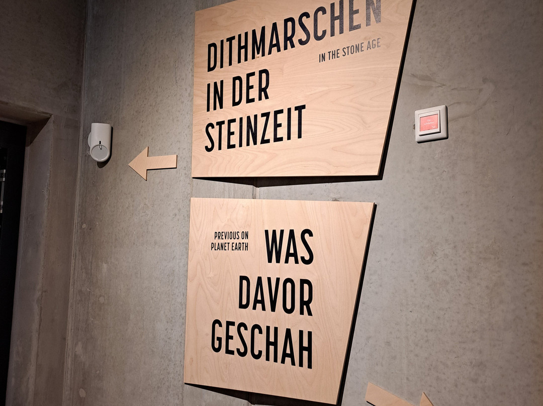 Steinzeitpark Dithmarschen景点图片