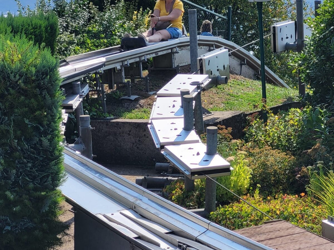 Sommerrodelbahn Saarburg景点图片