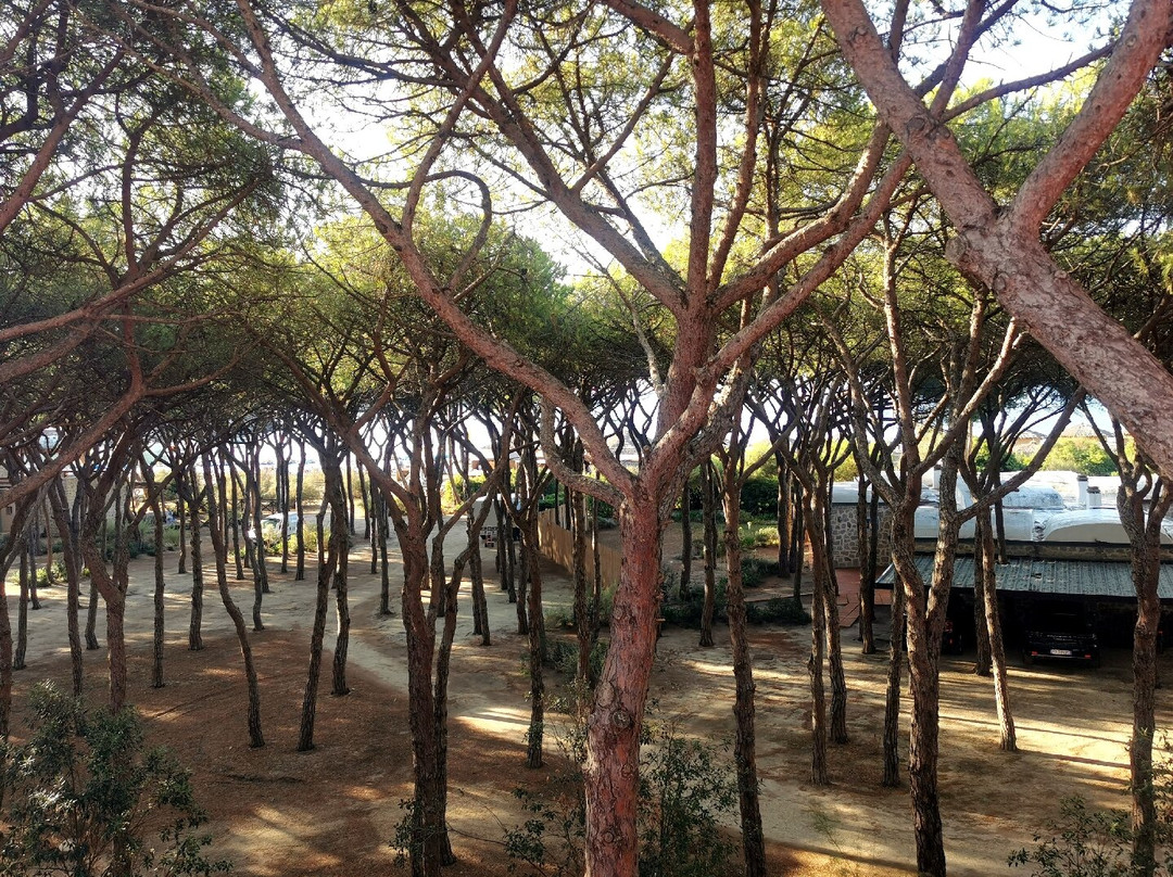 Hotel Villa Nettuno主图
