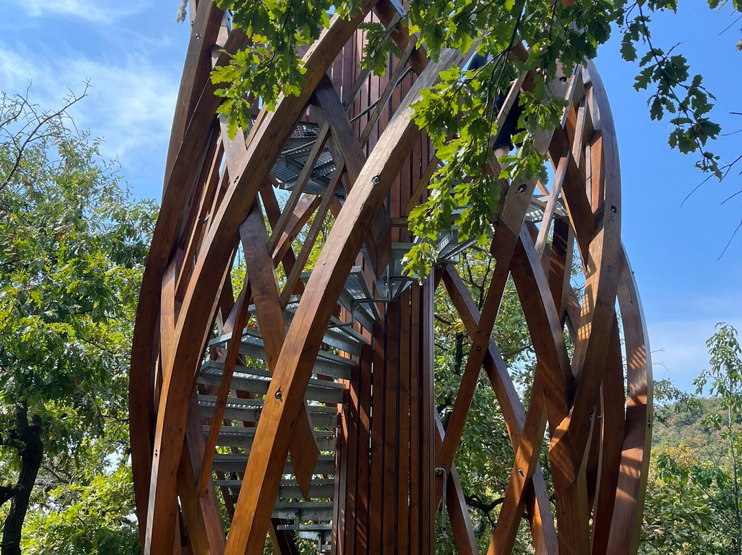 Folly Arboretum And Winery景点图片