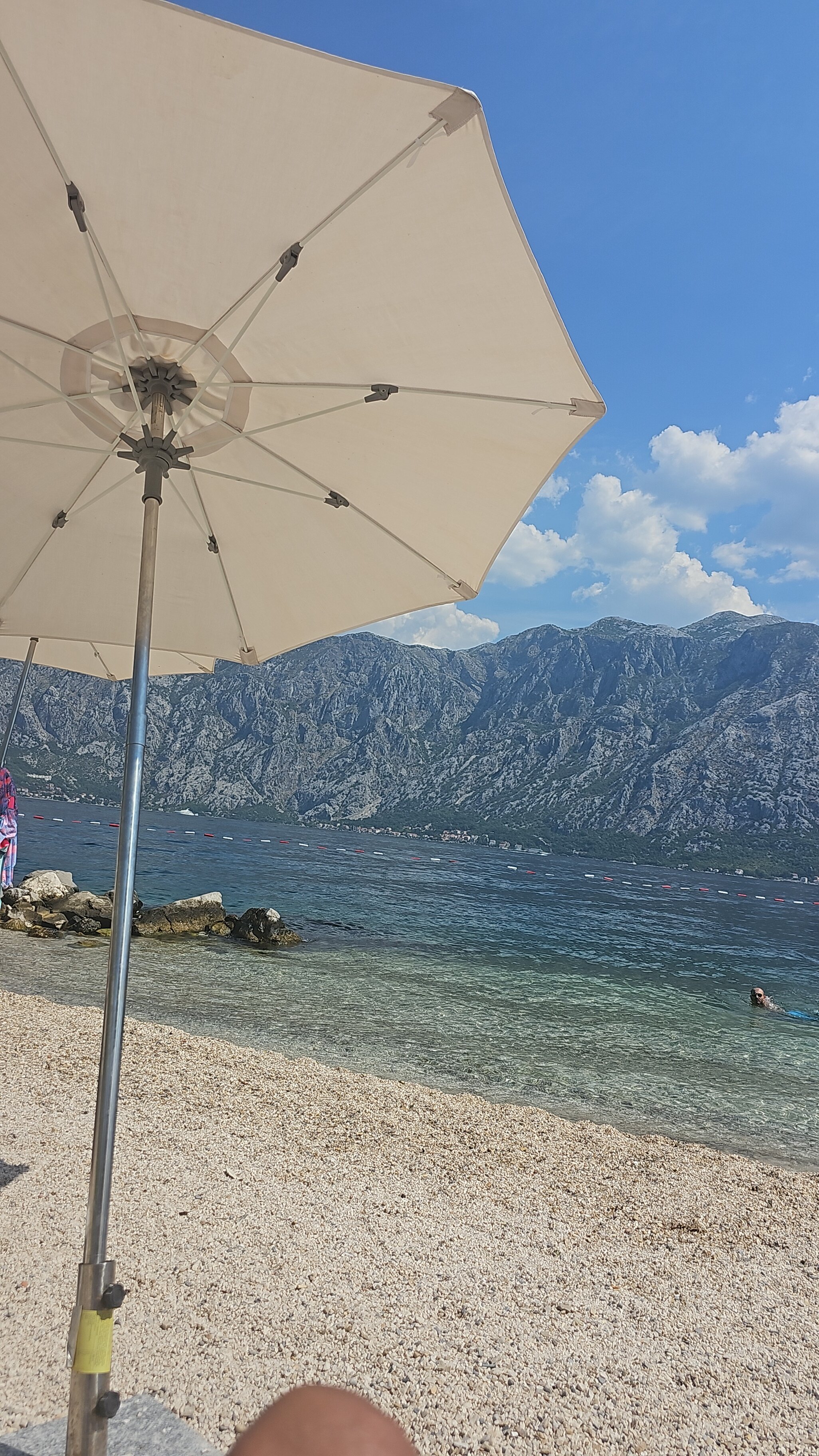Hyatt Regency Kotor Bay Resort-泳池